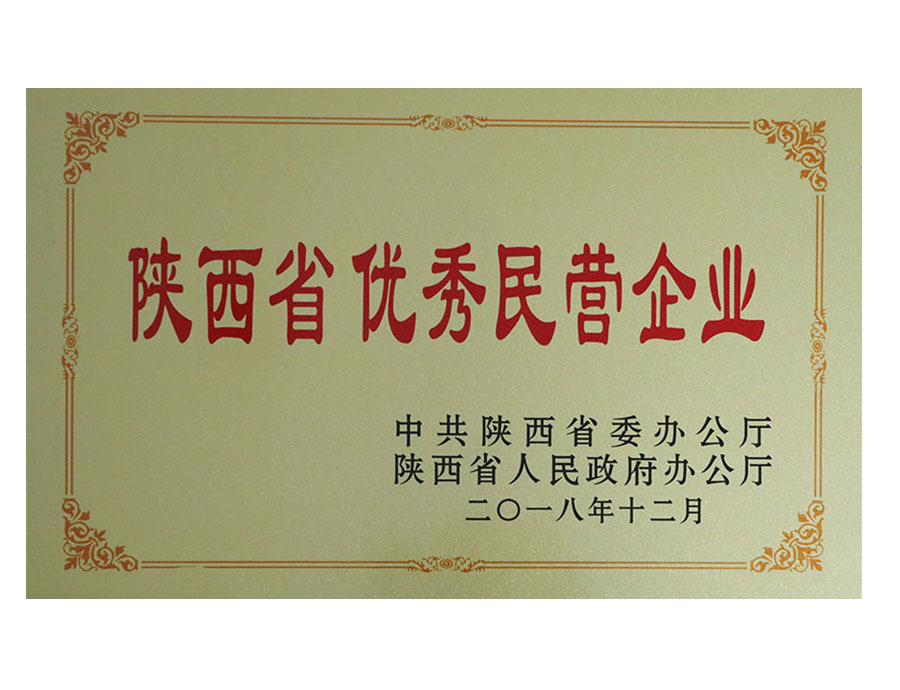 陝西省優秀民營企業