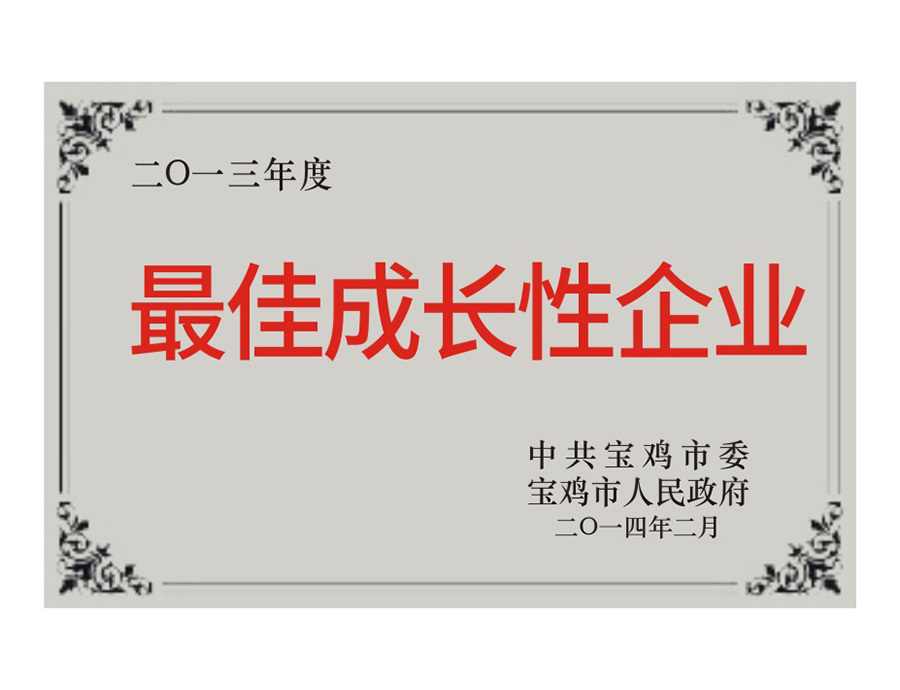 最佳成長性企業