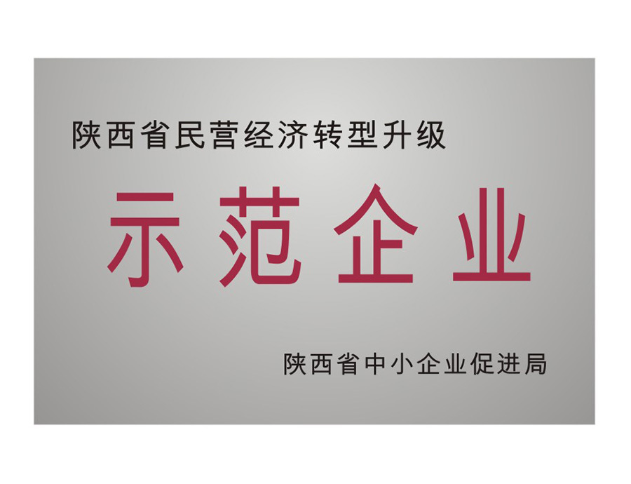 陝西省民營經濟轉型升級示範企業